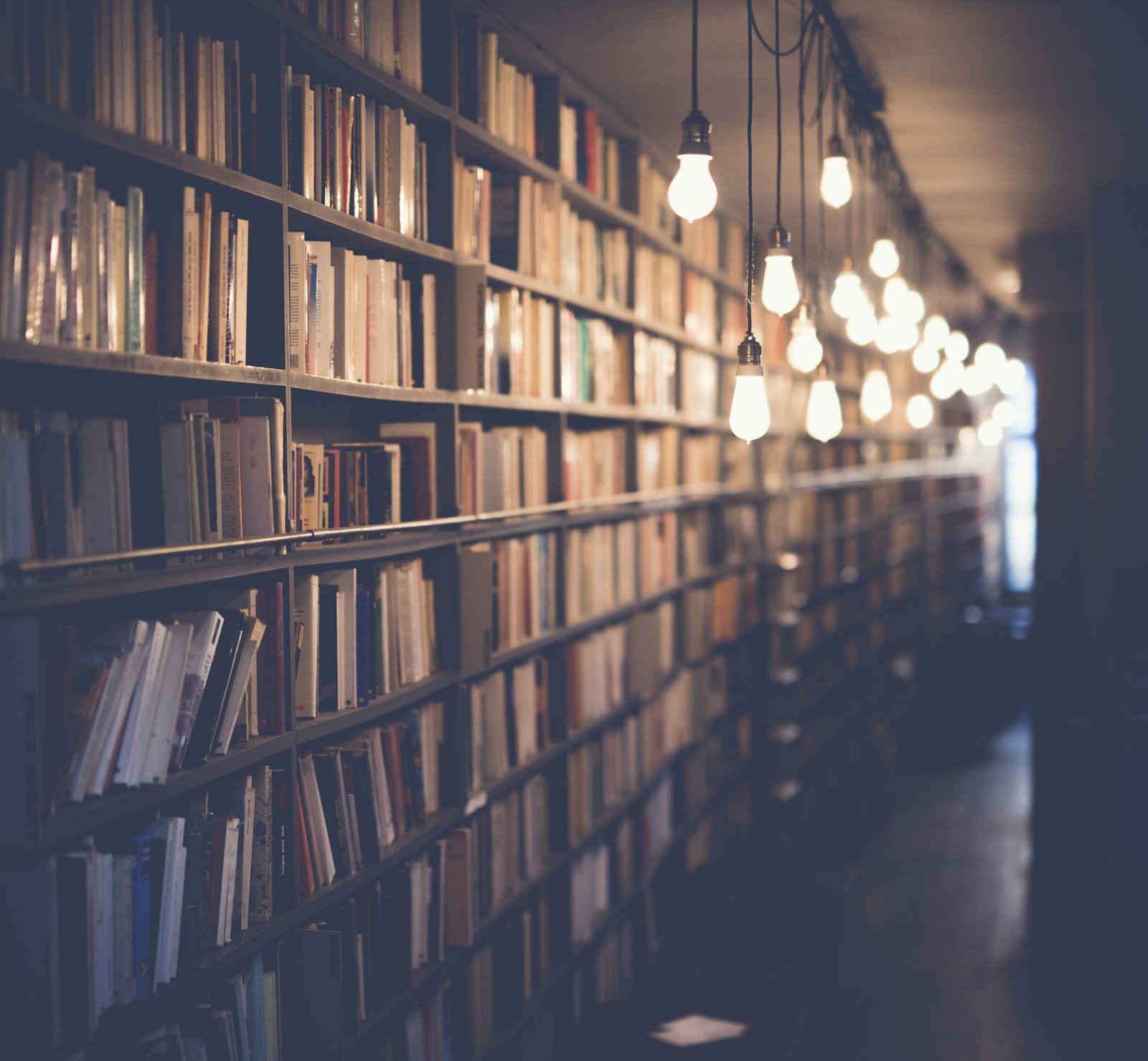 bibliothèque et transmission