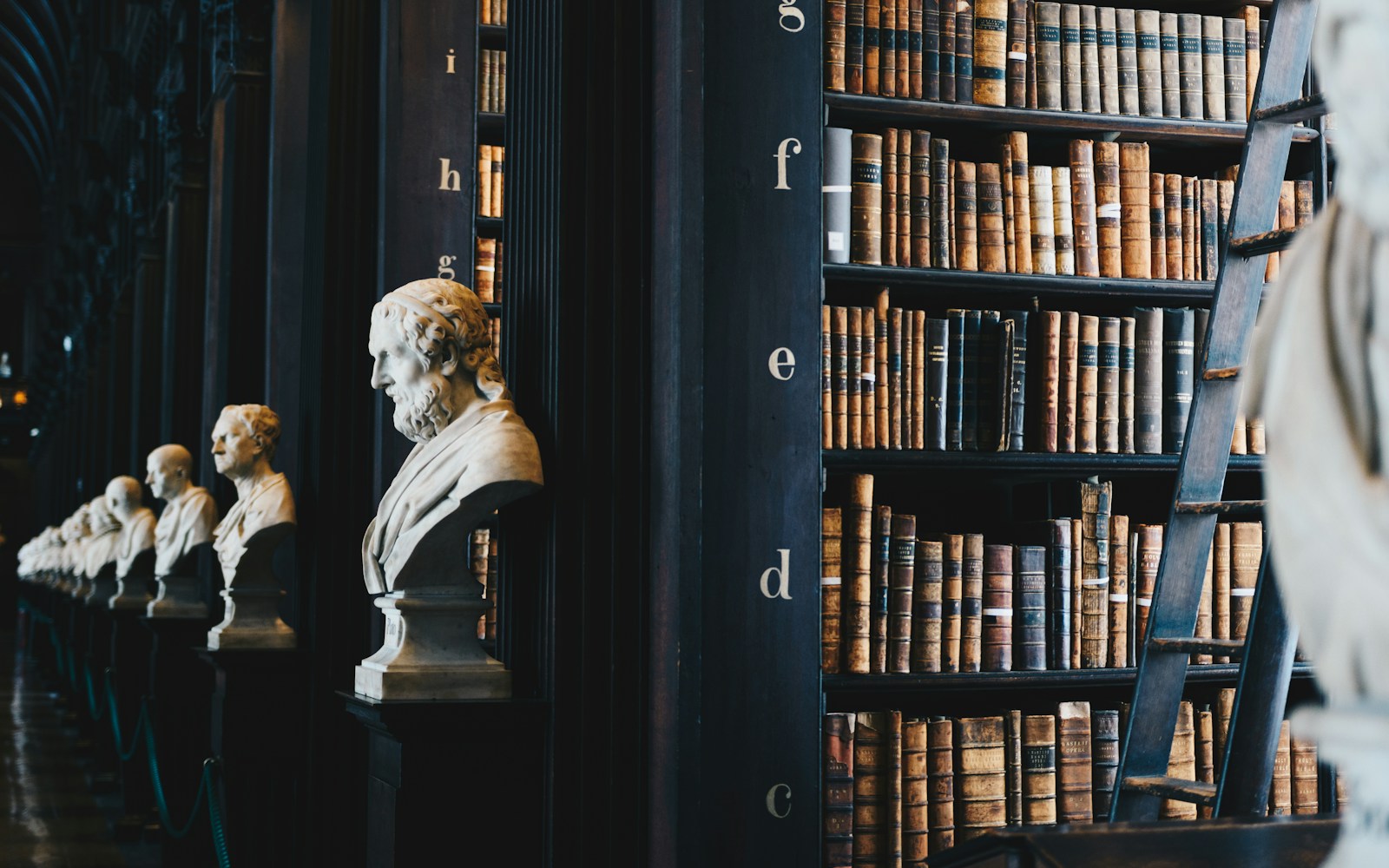 Rayonnages de livres et bustes dans une bibliothèque, photographie d’illustration.