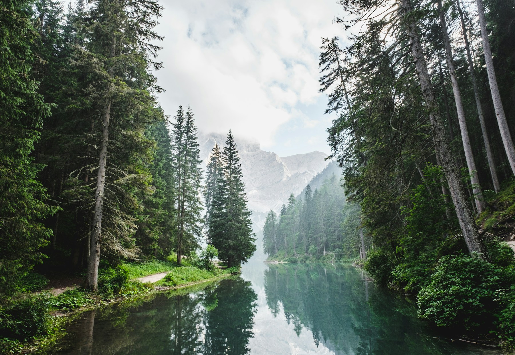 Une forêt et un cours d’eau