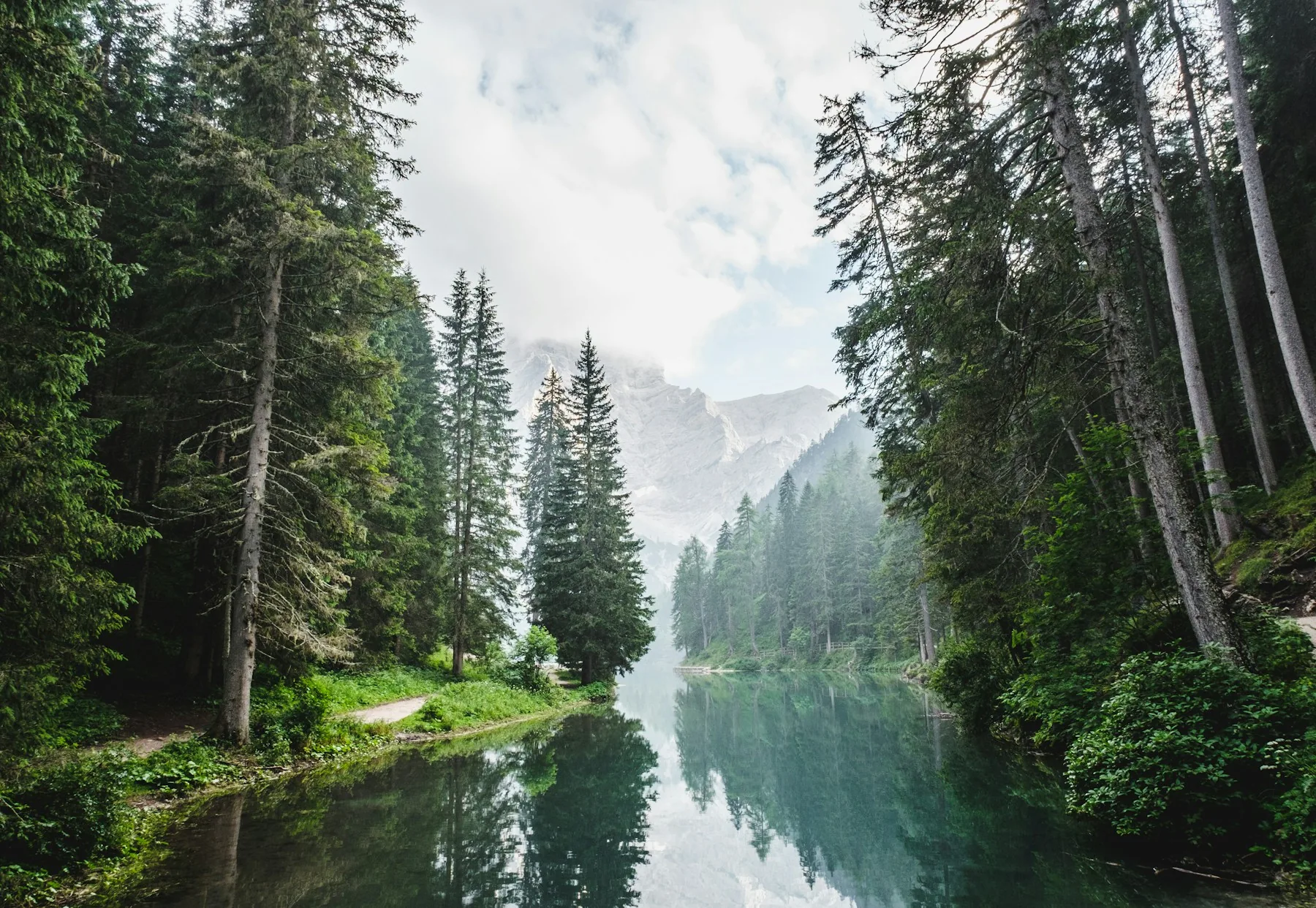 Une forêt et un cours d’eau