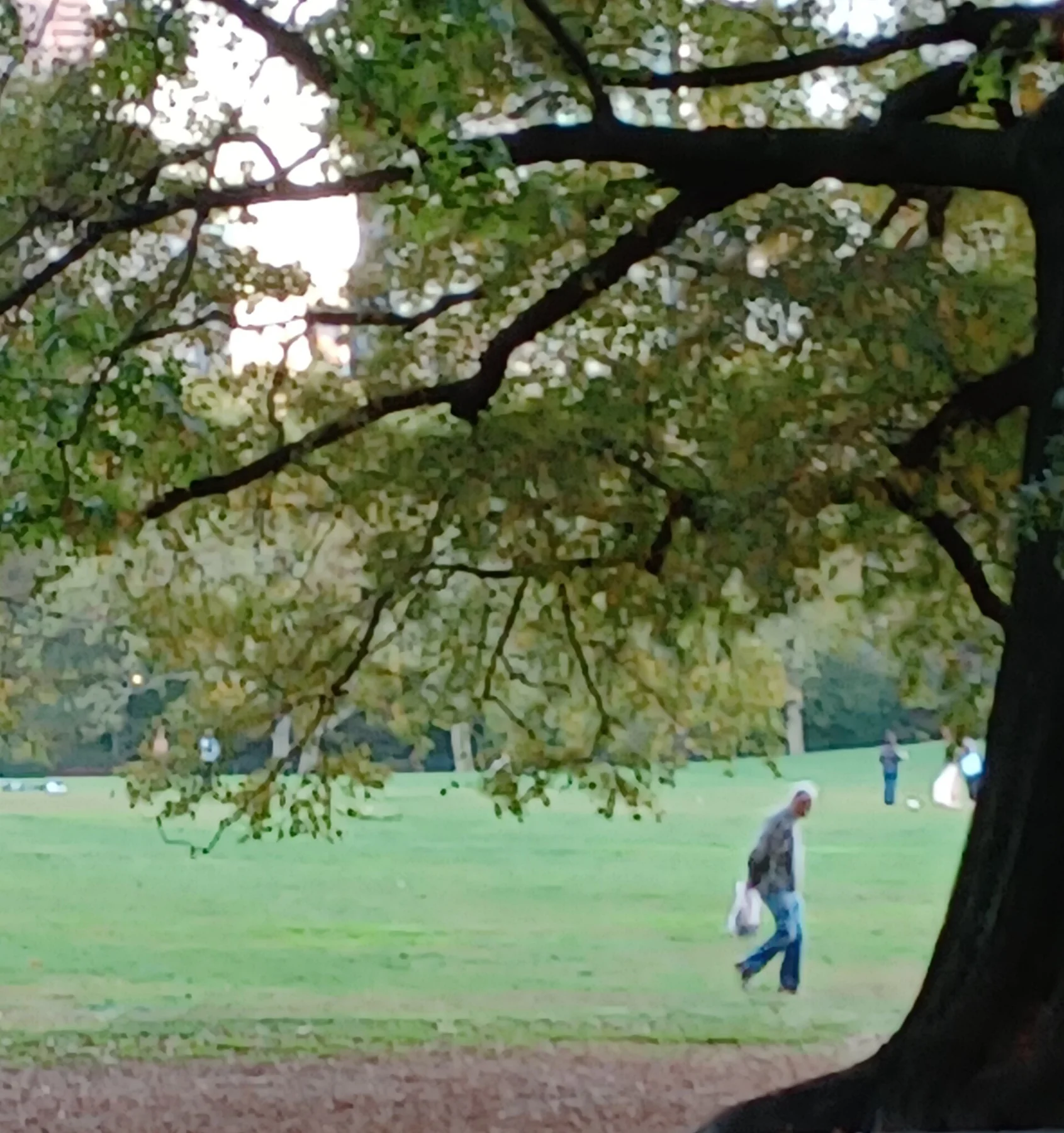 Une personne âgée marche dans Central Park, à New York. Photographie de novembre 2022. Photographie d’illustration.