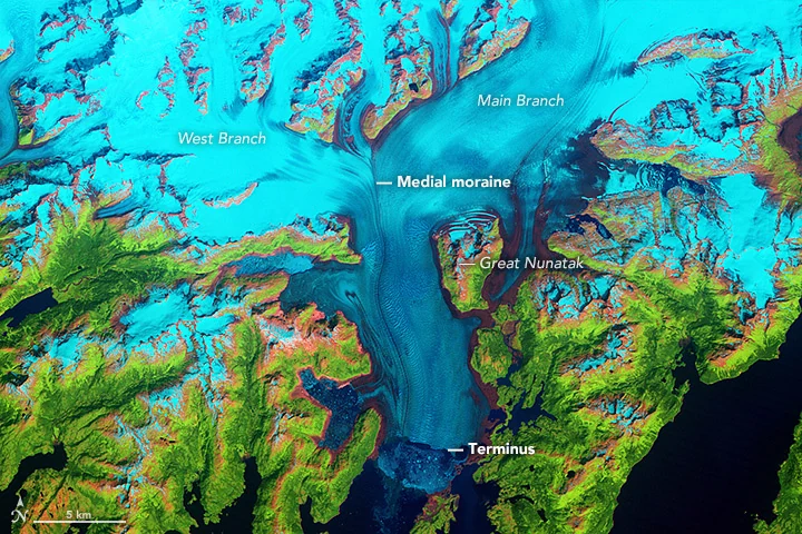La glace cyan occupe la baie du glacier Columbia en 1986.